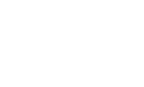 Commercial Portfolio